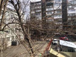 ��������� �������� ���������� ���. (��������), 57 �, ��� ���� 17