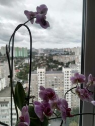 �����-�������� � ����� �������� ��� ������� ����, ������� 73. ���� 8