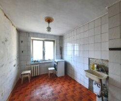 ������ ���� 14