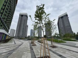 ��������� �������� ���, ���������� ���� 24