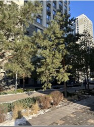 ������ 1 �� ��������! �� ��������� , ����� ������� 3 ������� ����!. ���� 12