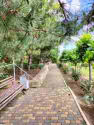 ������������� �������� � �������� � ���� �. ����������. ���� 11