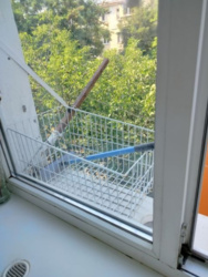 ��������� �������� ��������, ����������� (���������), ����������� (���������), ������� ���� 13