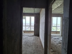 ��������� �������� ��������, ����������� (���������), ����������� (���������), ������� ���� 2