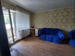 ��������� ������������� �������� � �. �����������. ���� 1