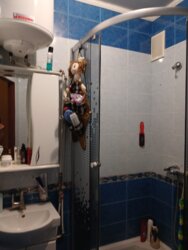 ��������� �������� ����, ����������� (���������), ����������� (���������), ������� ���� 7