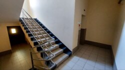 ������� ������������� �������� � ������������ �������� � ����������� ���� 19