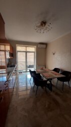 ������� ������������� �������� � ������������ �������� � ����������� ���� 12