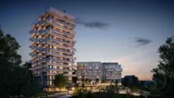 ��������� �������� ����, ��������, ������������� ���� 2