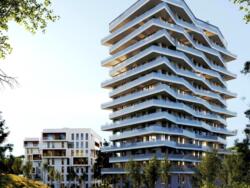 ��������� �������� ����, ��������, ������������� ���� 5