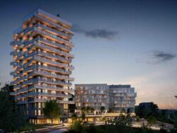 ��������� �������� ����, ��������, ������������� ���� 6