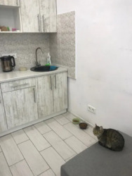���������� - ������ � ����� ����, � �������� � ������� ���� 6