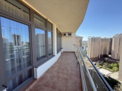 KADORR � ������� ��������� ���������� 52 � ������ ��� ���� ��������� ������ ���� 19