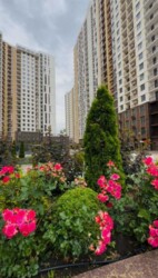 �������� KADORR City - ��������� ��������� ������ ��� ������� � ����� �������� - ������� ���� 15
