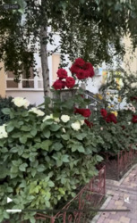 ���� ������, 4-��������� 140 �², �������� �� ���� ���� 11