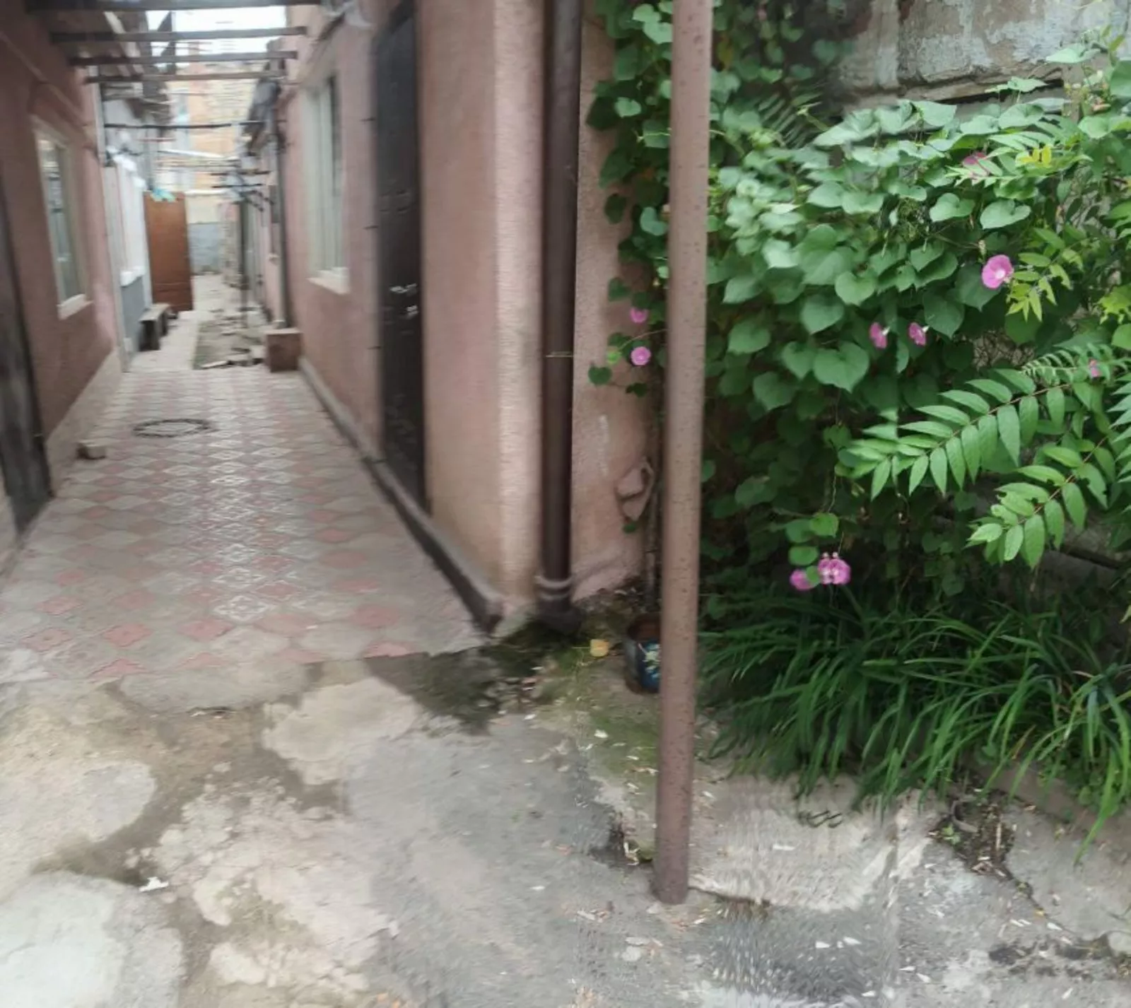 ��������� �������� �������� ��������, 40, �����, �������, ������������� (�����������) ���� 1