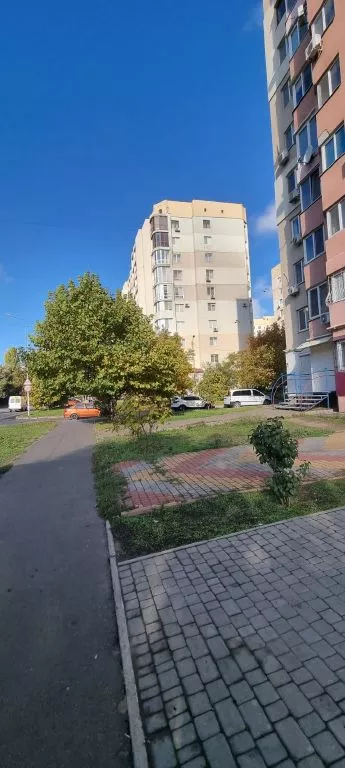 ������� 1-������� �������� � ��������� ������� �� �����������. ϳ� ��������. ���� 1