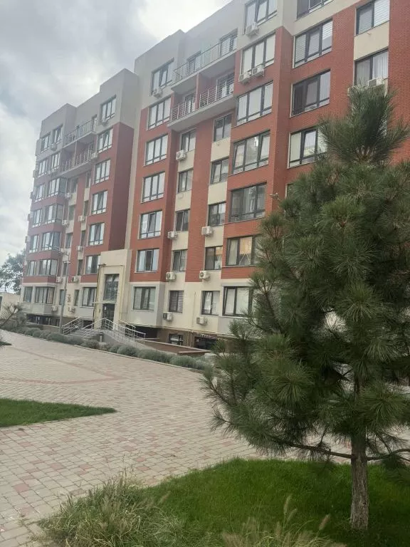 1-�� ������� �������� � �� '������ ���' ���� 1