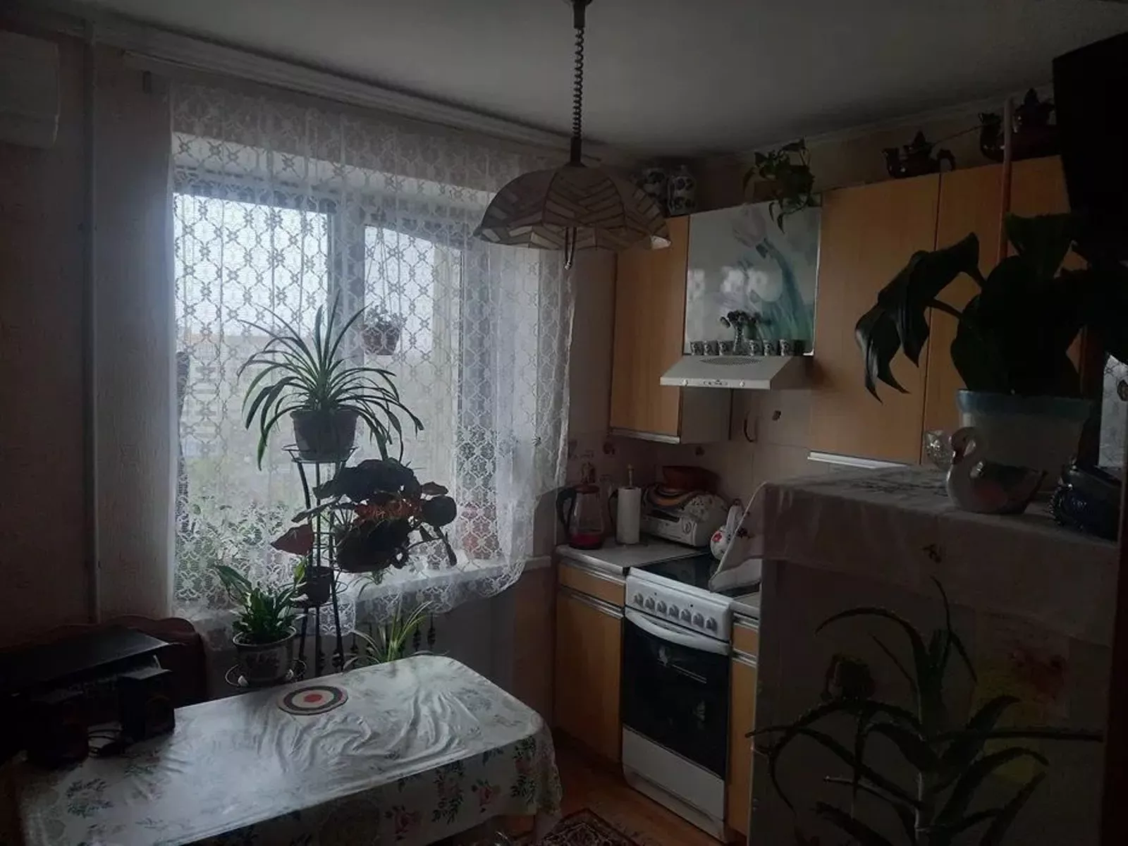 ��������� �������� �������������� ���., 24, �����, �������, ������������� (�����������) ���� 1