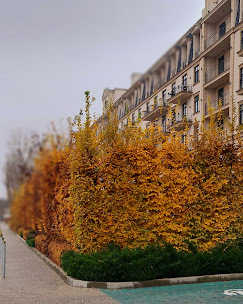 �������� � �� '���������� �����' ���� 1