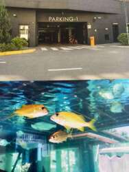 Продається квартира Фонтанська дорога вул., 118, Одеса, Одеська, Київський фото 6 Продається квартира Фонтанська дорога вул., 118, Одеса, Одеська, Київський фото 6