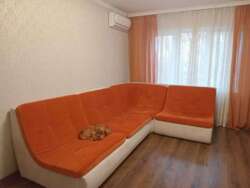 ��������� �������� ������ ��������� ���., 72, �����, ������� ���� 6