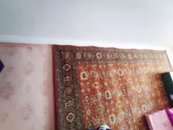 ��������� �������� ��������� ��������, 47, �����, �������, ������������� (�����������) ���� 5