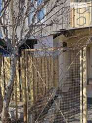 ��������� �������� ������� ���., 1, �����, ������� ���� 12