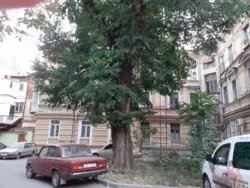 Продається квартира Канатна вул., 81, Одеса, Одеська, Приморський фото 23 Продається квартира Канатна вул., 81, Одеса, Одеська, Приморський фото 23