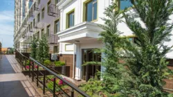 �������� � 20 ������� �� �������� ���� 7