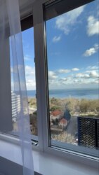 �� ˳���������� ������ �������� ���� 20