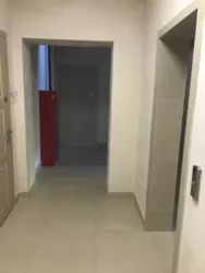 ��������� �������� ��������� ����., 4, �����, �������, ����������� ���� 41