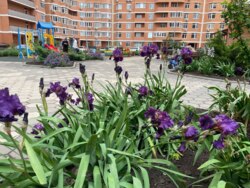 ������ ��������� - �������� ������ �� ����.�������� ���� 17