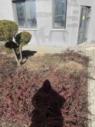 ������ 1-� �������� 33 �² � �� Ventum. ������� ����! ���� 3