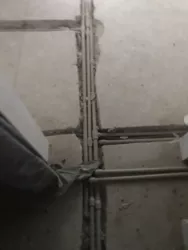 ��������� �������� ��������� ����., 4, �����, �������, ����������� ���� 37