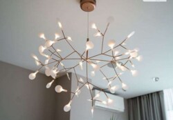 ��������� �������� ������������ ���. (������� ��������), 18, �����, �������, ����������� ���� 12