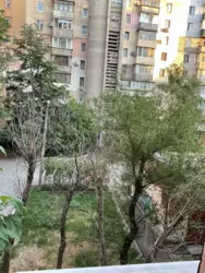 2-кімн квартира Косвенна/Картамишівська фото 3 2-кімн квартира Косвенна/Картамишівська фото 3