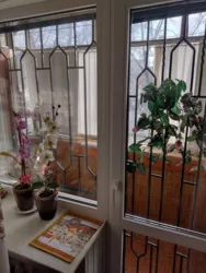 ��������� �������� �������������, 20, �����, �������, ����������� ���� 11