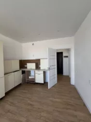 ��������� �������� �����������, 62, �����, �������, ������������ (������������), ����������� ���� 7