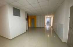 �� ��������-2. 1-������� �������� (����-������) � ���泺� ���� 11