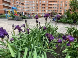 ��������� �������� �������������� ���., 3, �����, �������, ������������� (�����������) ���� 5