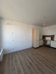 ��������� �������� �����������, 62, �����, �������, ������������ (������������), ����������� ���� 4