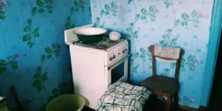Велика 4-кімнатна квартира + ГАРАЖ у подарунок! (Сербка) фото 10 Велика 4-кімнатна квартира + ГАРАЖ у подарунок! (Сербка) фото 10