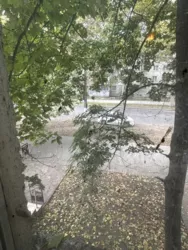 ��������� �������� ����������, 5, �����, �������, ������������� (�����������), ��������� ���� 5