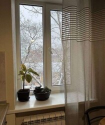 ��������� �������� ͳ�� �������� (������ ���.), 7, �����, �������, ����������� ���� 14