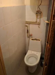 ��������� �������� ���������, 17, �����, �������, ����������� ���� 5