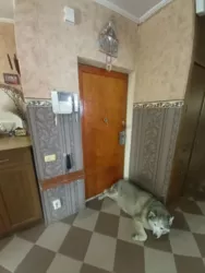 4-��������� �������� � ����������� �������� �� ���.���������� ���� 9