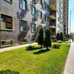 54 ������� �� �����������, ���� �������� -�� ����������� ���� 1