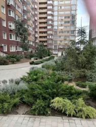 ������ 1 ���.��. ���� 16