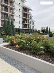 ��������� �������� ������� ����., 7, �����, �������, �������� ���� 17